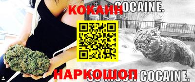 Альфа ПВП Чапаевск