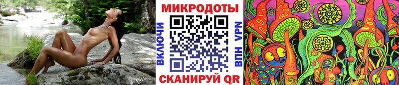 где найти Анжеро-Судженск Псилоцибиновые грибы мухоморы