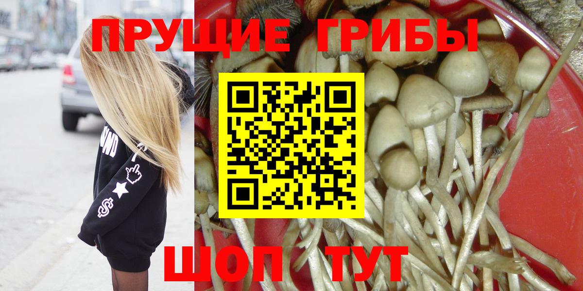 Галлюциногенные грибы GOLDEN TEACHER  Вход с VPN  Анжеро-Судженск 